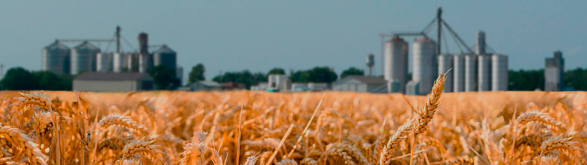 Geniustudio - БудАгроПлюс зображення 1